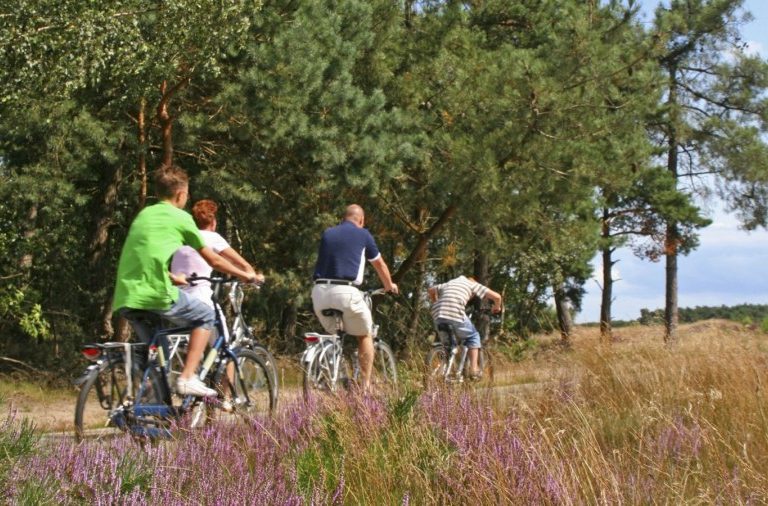 fietsen_heide