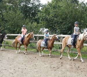 pony rijden